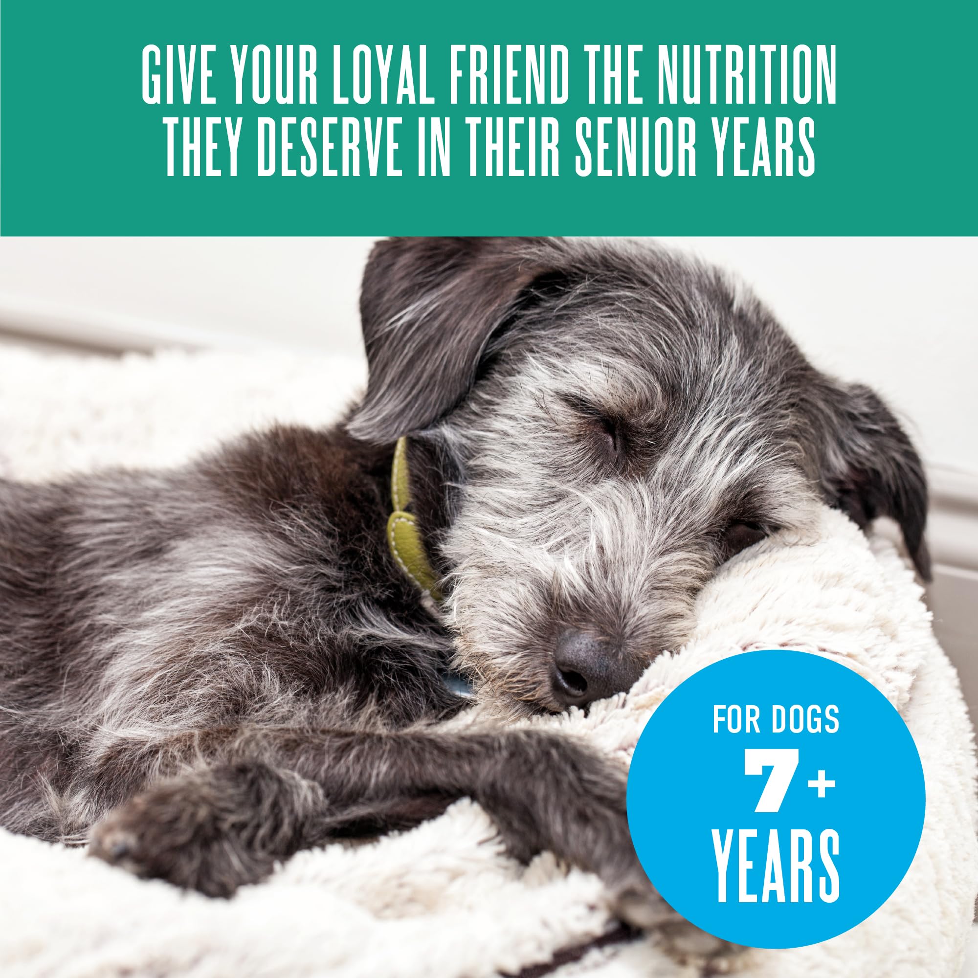 Ce repas peut éveiller l'appétit des chiens âgés sans compromis sur la nutrition.