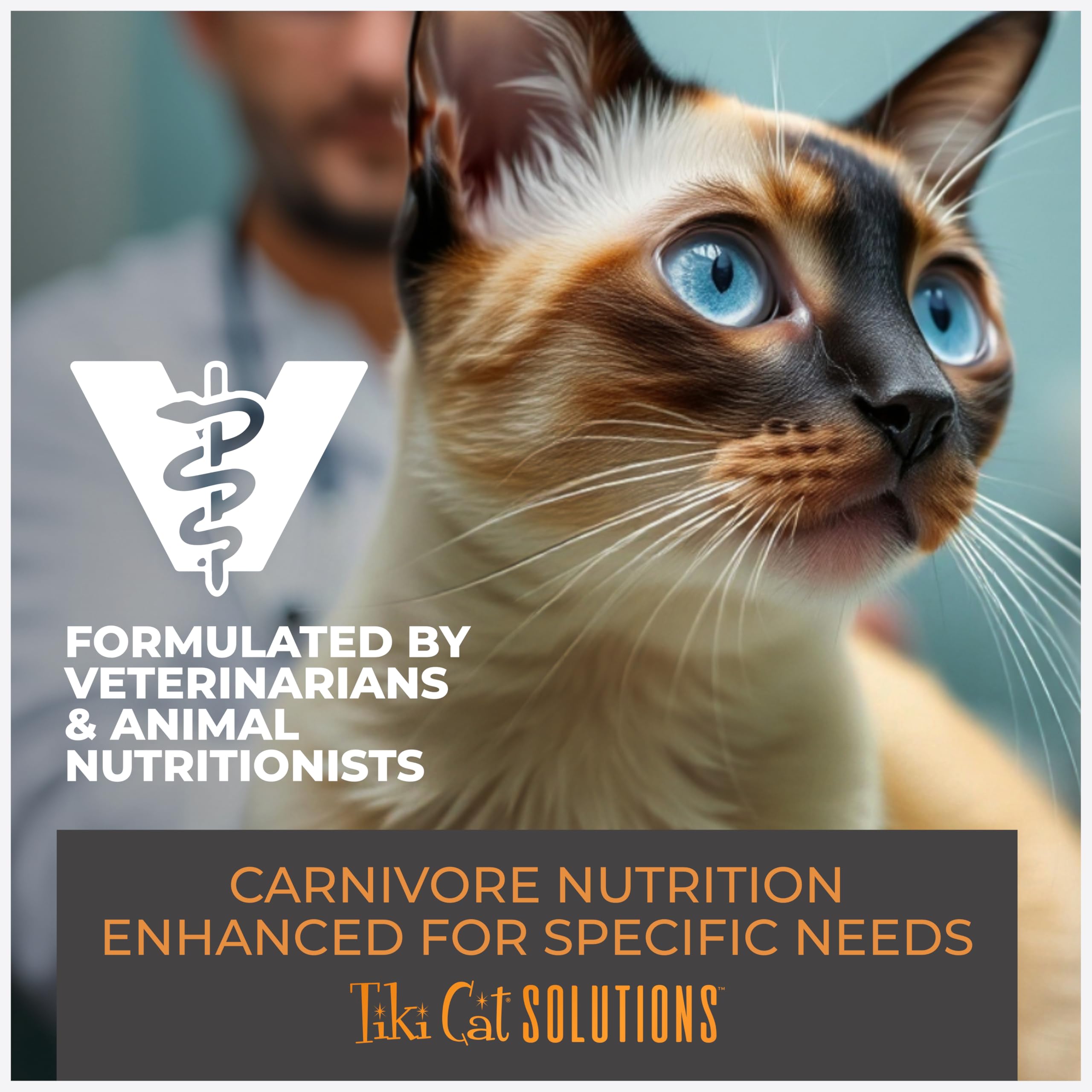 Bouillon aromatique et riche du plat Tiki Cat Solutions Digestion.