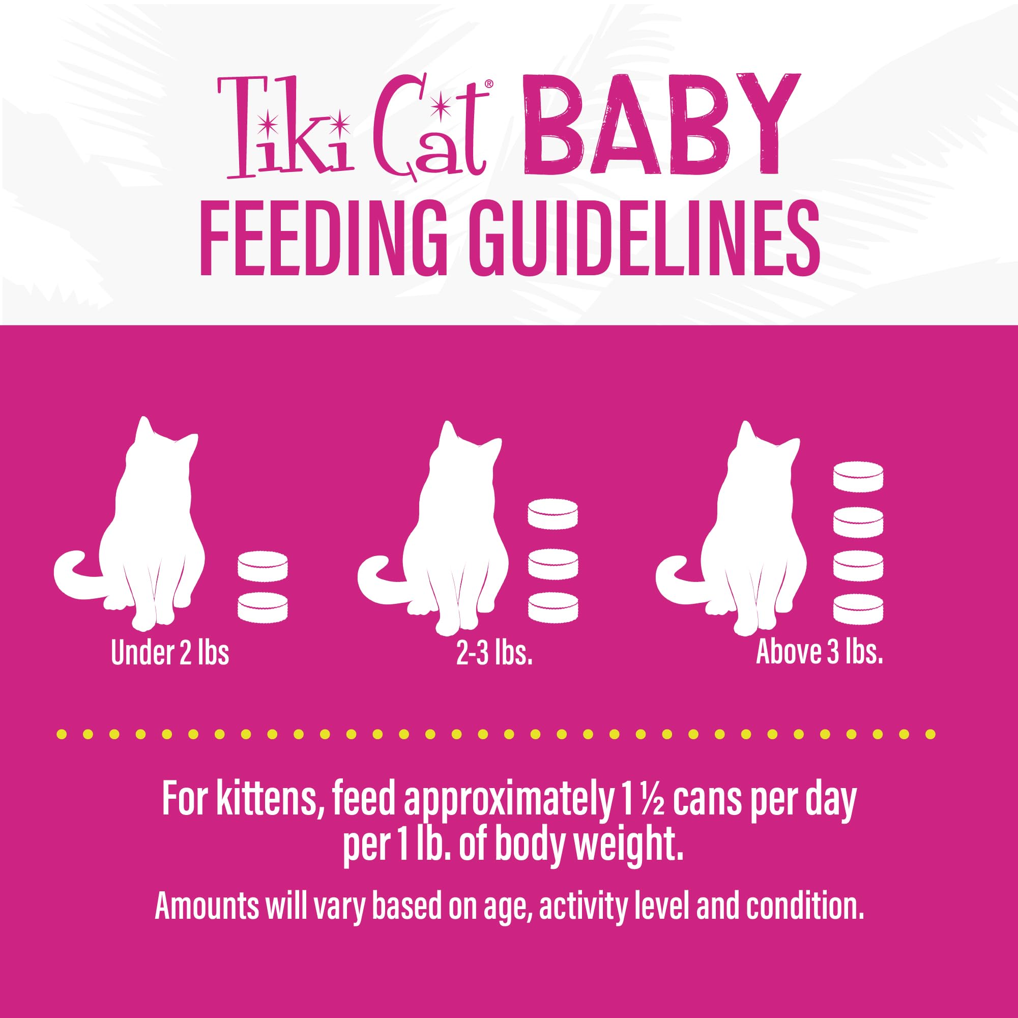Alimentation complète et équilibrée Tiki Cat Baby Pâté pour chatons.