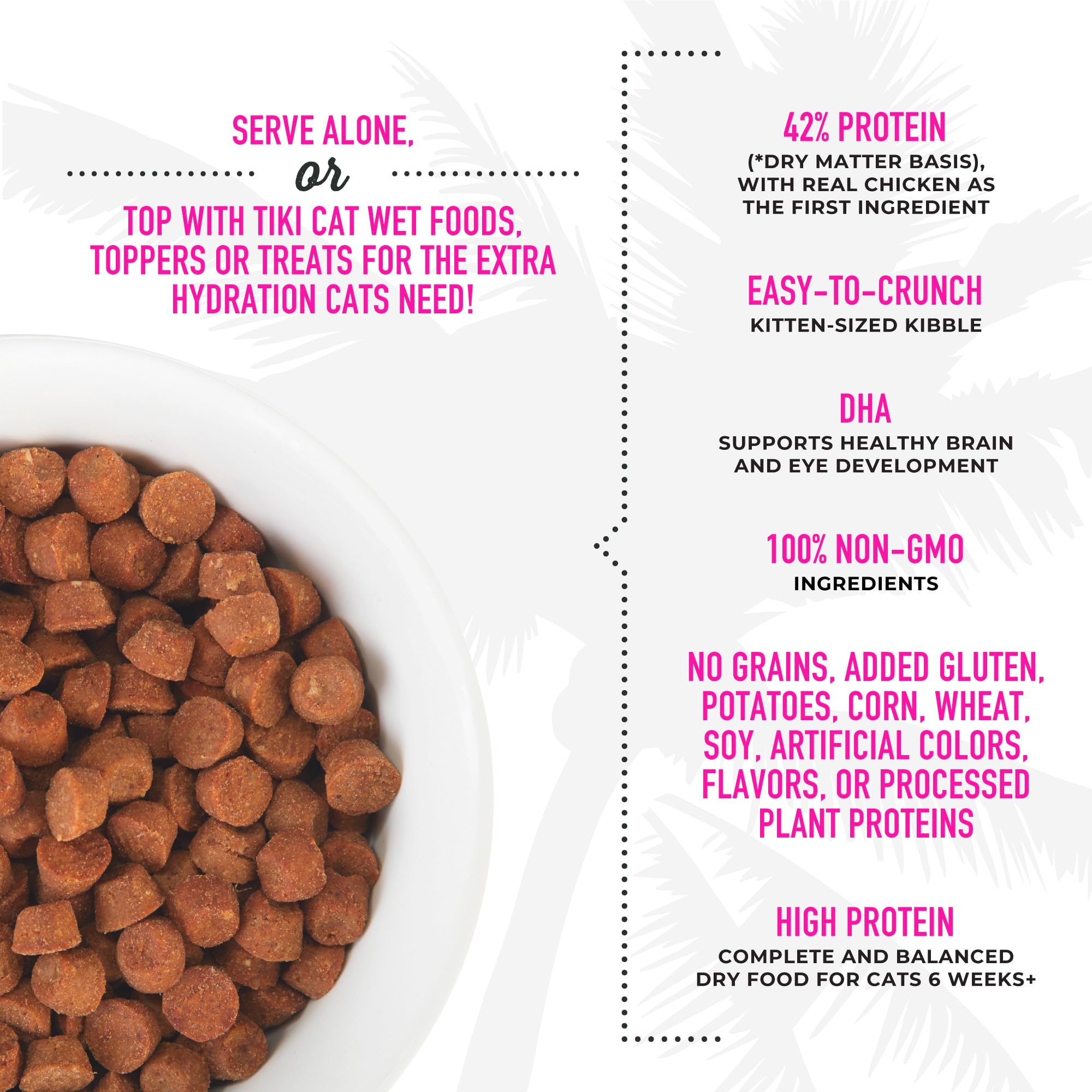 Tiki Cat Born Carnivore Baby – œuf entier et poulet comme protéines principales