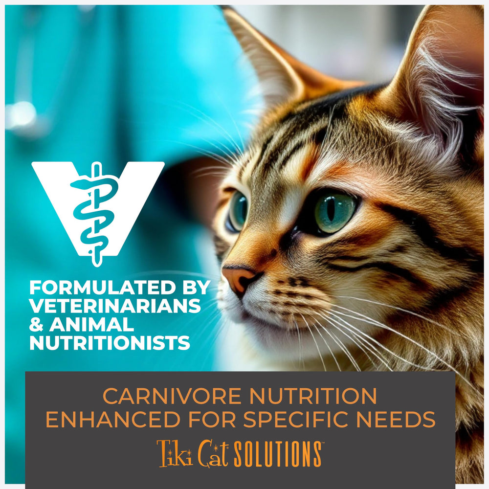 Tiki Cat Solutions Mobilité — sachet de 1,5 oz, pratique pour varier les repas.