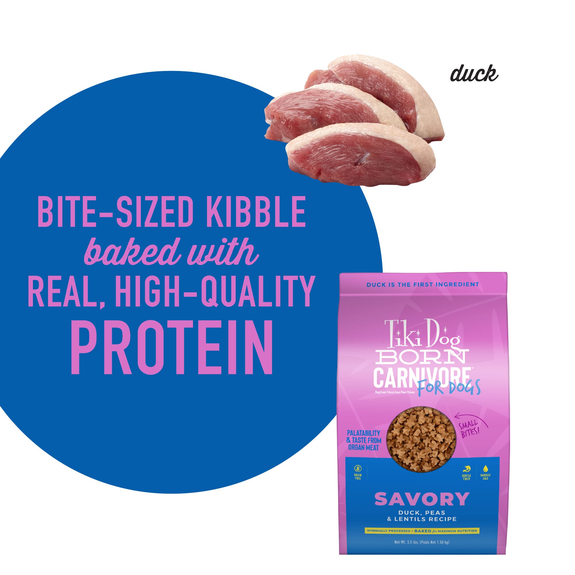 Alimentation adaptée pour petits chiens avec Tiki Dog Born Carnivore.