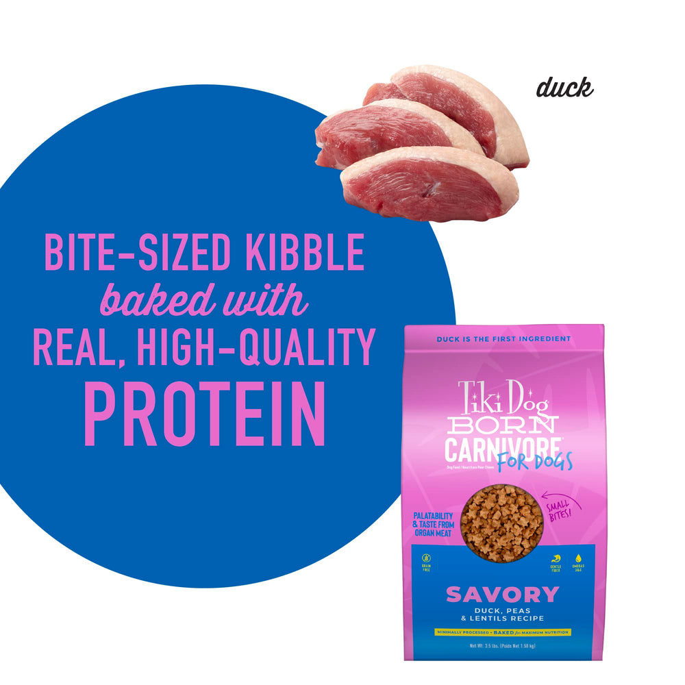 Alimentation adaptée pour petits chiens avec Tiki Dog Born Carnivore.