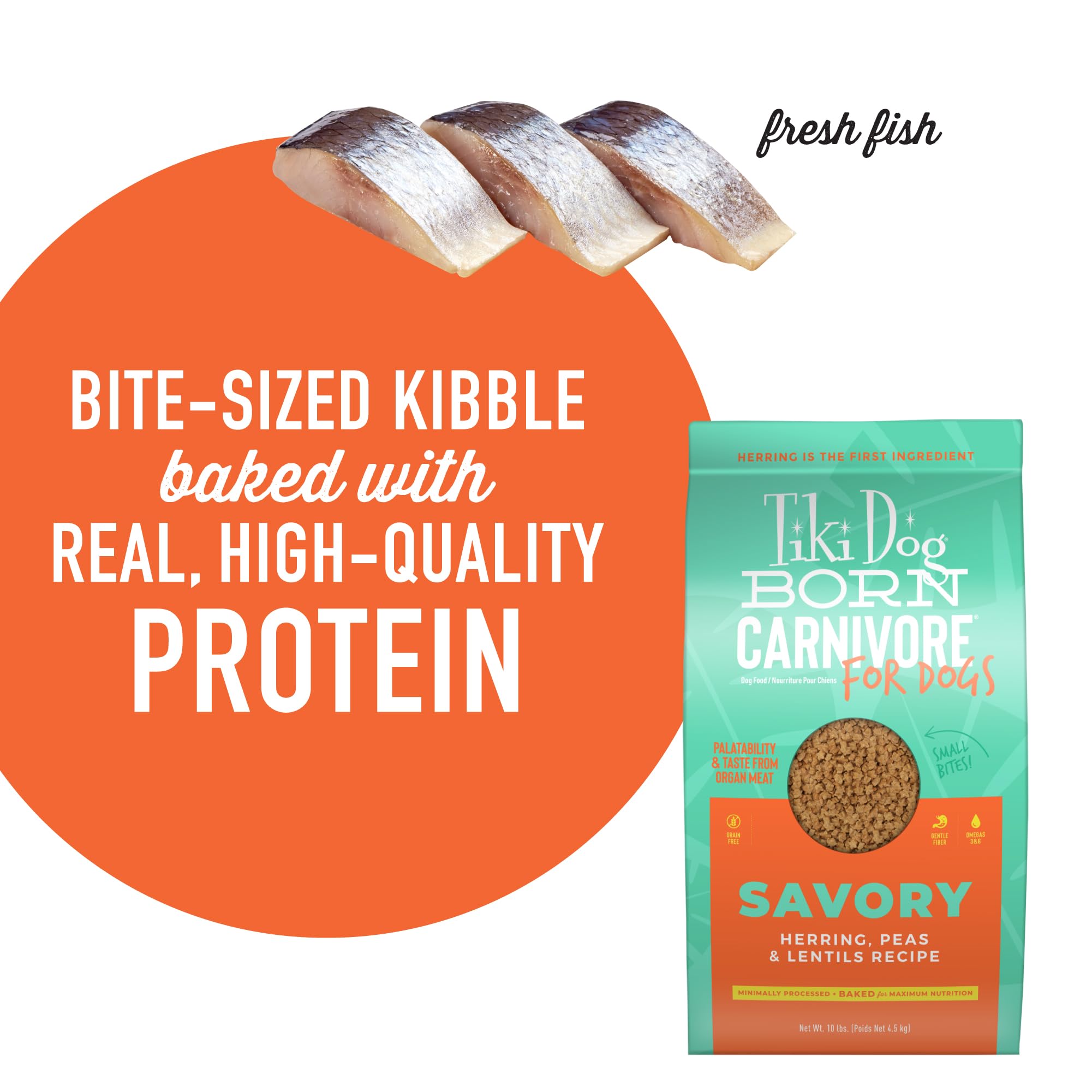 Super-aliments naturels: lin, coco et huile de saumon.