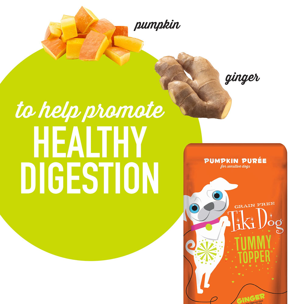 Potiron gingembre sur croquettes avec Tiki Dog goût et humidité améliorés