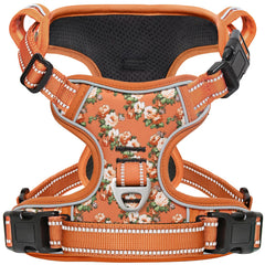 Harnais Timos grande taille avec boucles rapides pour enfiler facilement.
