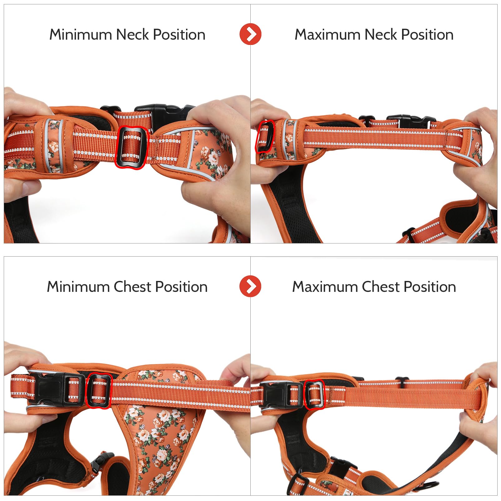 Attache-laisse arrière du harnais Timos, pratique pour jogging et entraînement