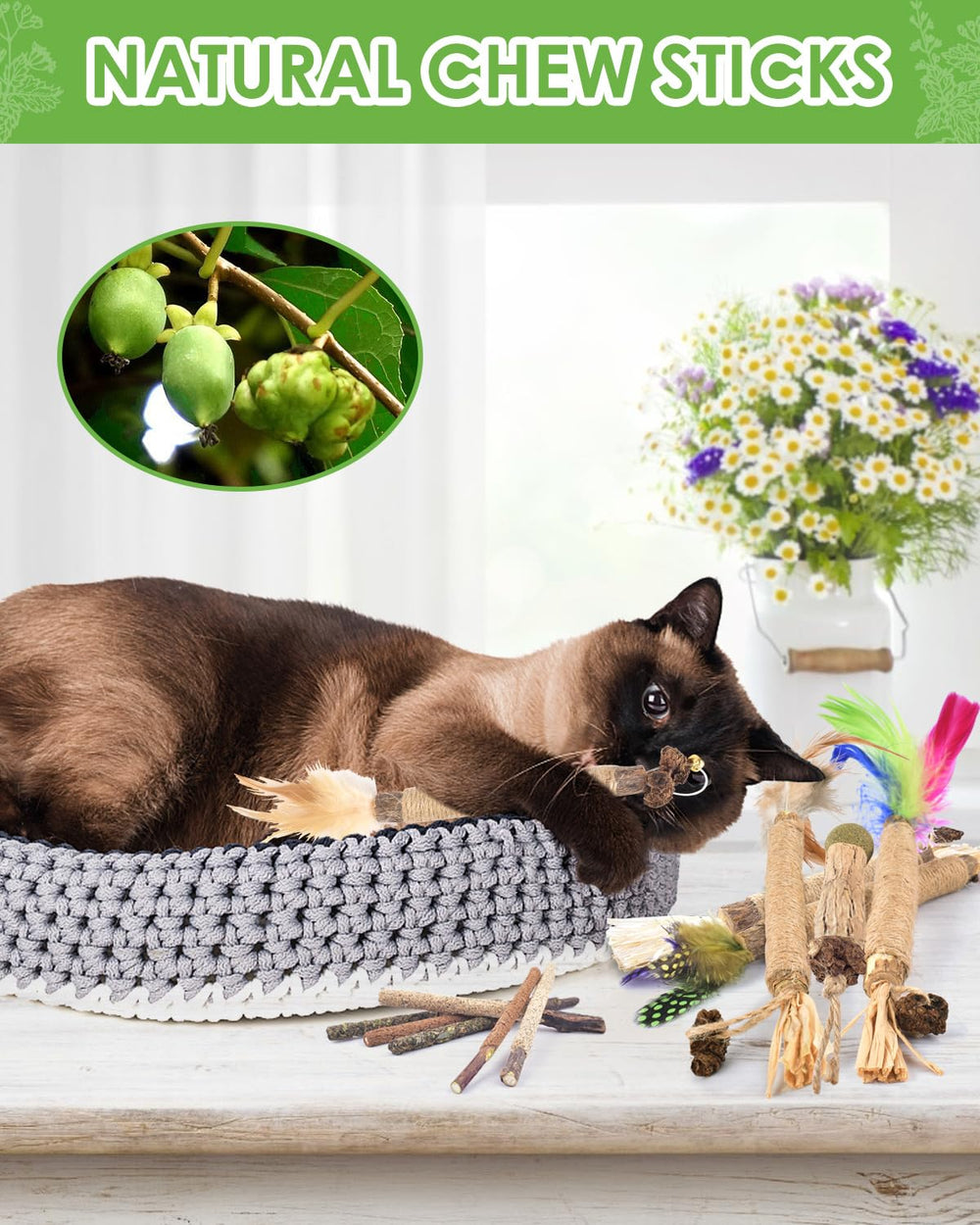 Utilisation quotidienne recommandée, TINDTOP Silvervine pour chats, interaction renforcée.