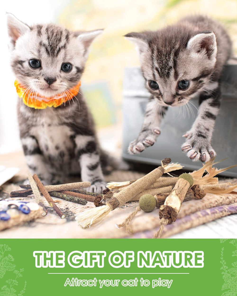 TINDTOP conseils-utilisation-chat: guide d’utilisation doux et sûr pour les chats.