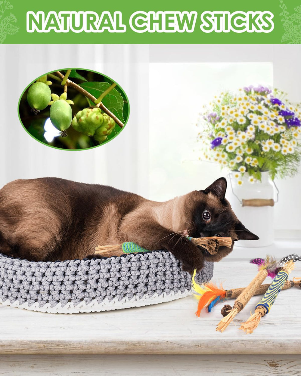 Fibres végétales TINDTOP pour soutenir la digestion et l'appétit des chats.
