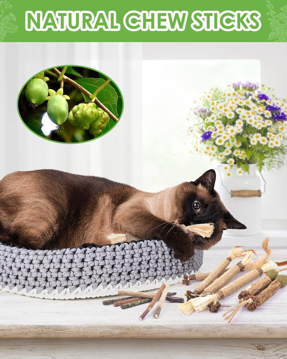 TINDTOP jouet-mordiller-chat: accessoire engageant pour chats actifs.