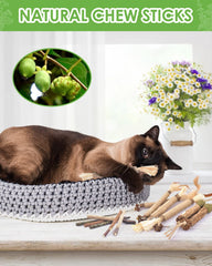 TINDTOP jouet-mordiller-chat: accessoire engageant pour chats actifs.