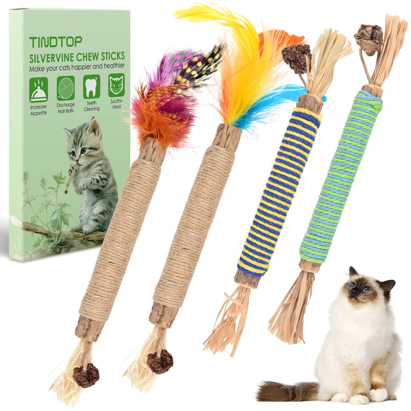 Jouets à mâcher TINDTOP pour chat – ensemble de 4, pour détente et stimulation.