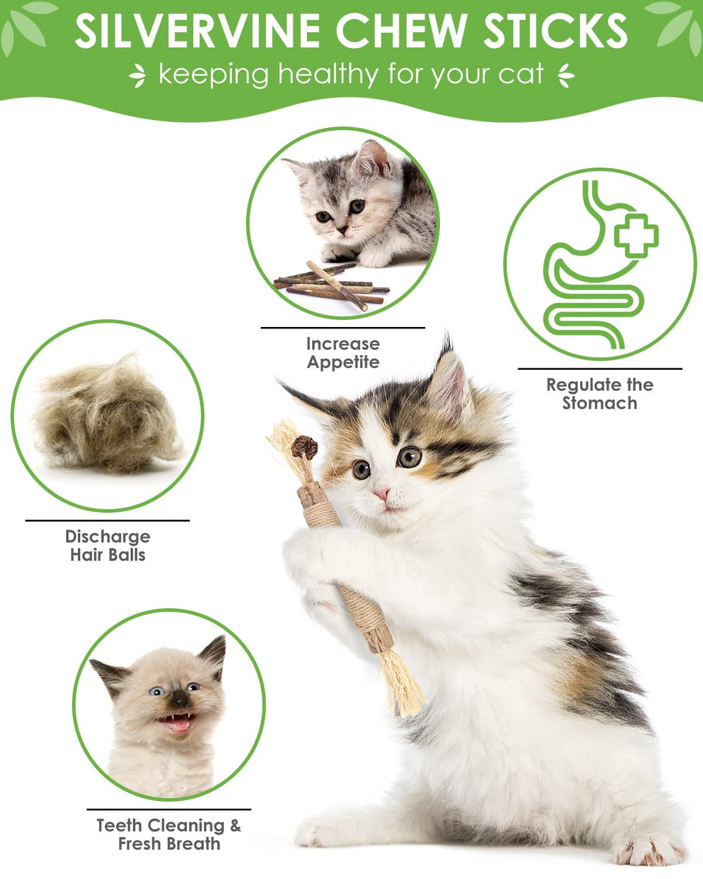 TINDTOP Silvervine bâton dentaire pour chats – aide potentielle à l'hygiène buccale.