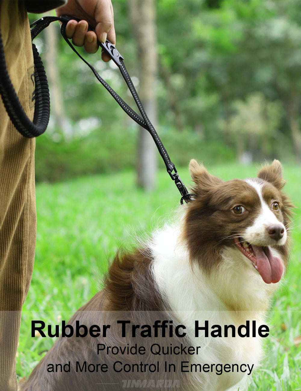Tinmarda laisse securite ceinture voiture pour garder le chien en sécurité lors des trajets.