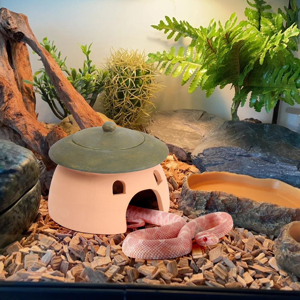 Tino Kino surface lisse, nettoyage facile pour reptiles.