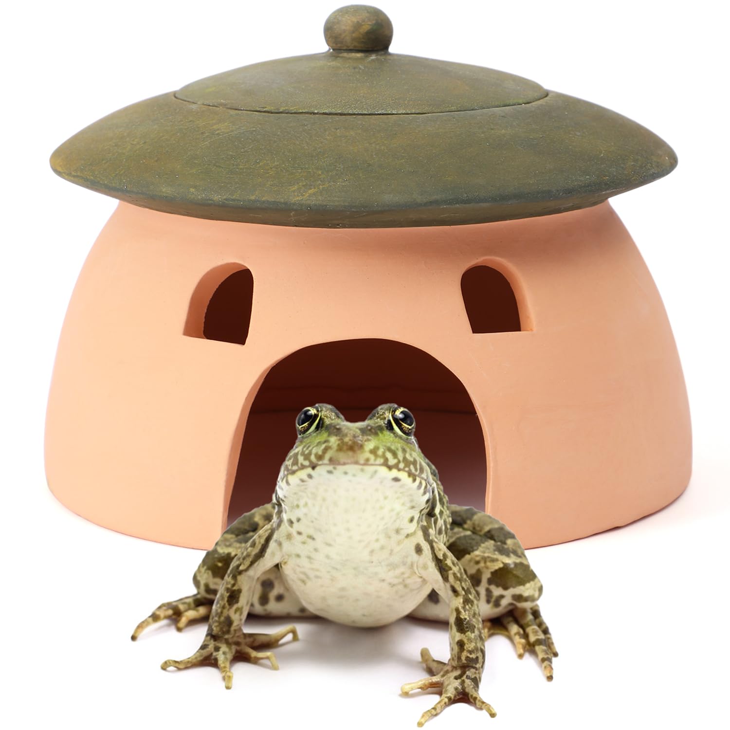 Tino Kino maison grenouille-toad en poterie rouge, abri extérieur durable.