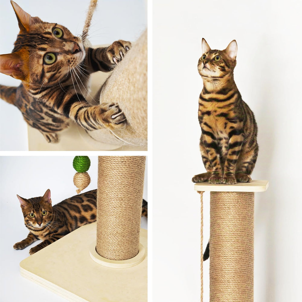 TinyBeast griffoir bois-chat: utilisation idéale en intérieur pour chats adultes.
