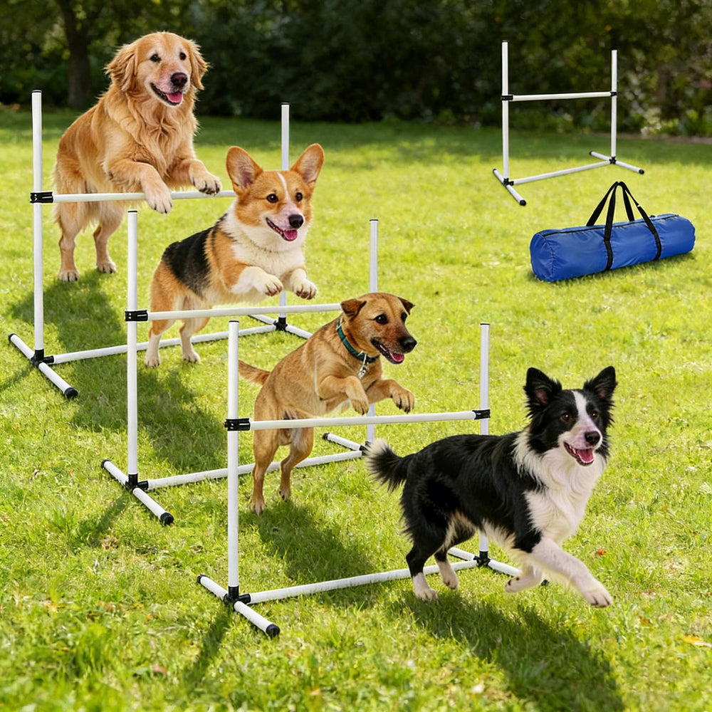 TinyPoint - barres reglables pour parcours d'agilité canin, adaptées à toutes les tailles.