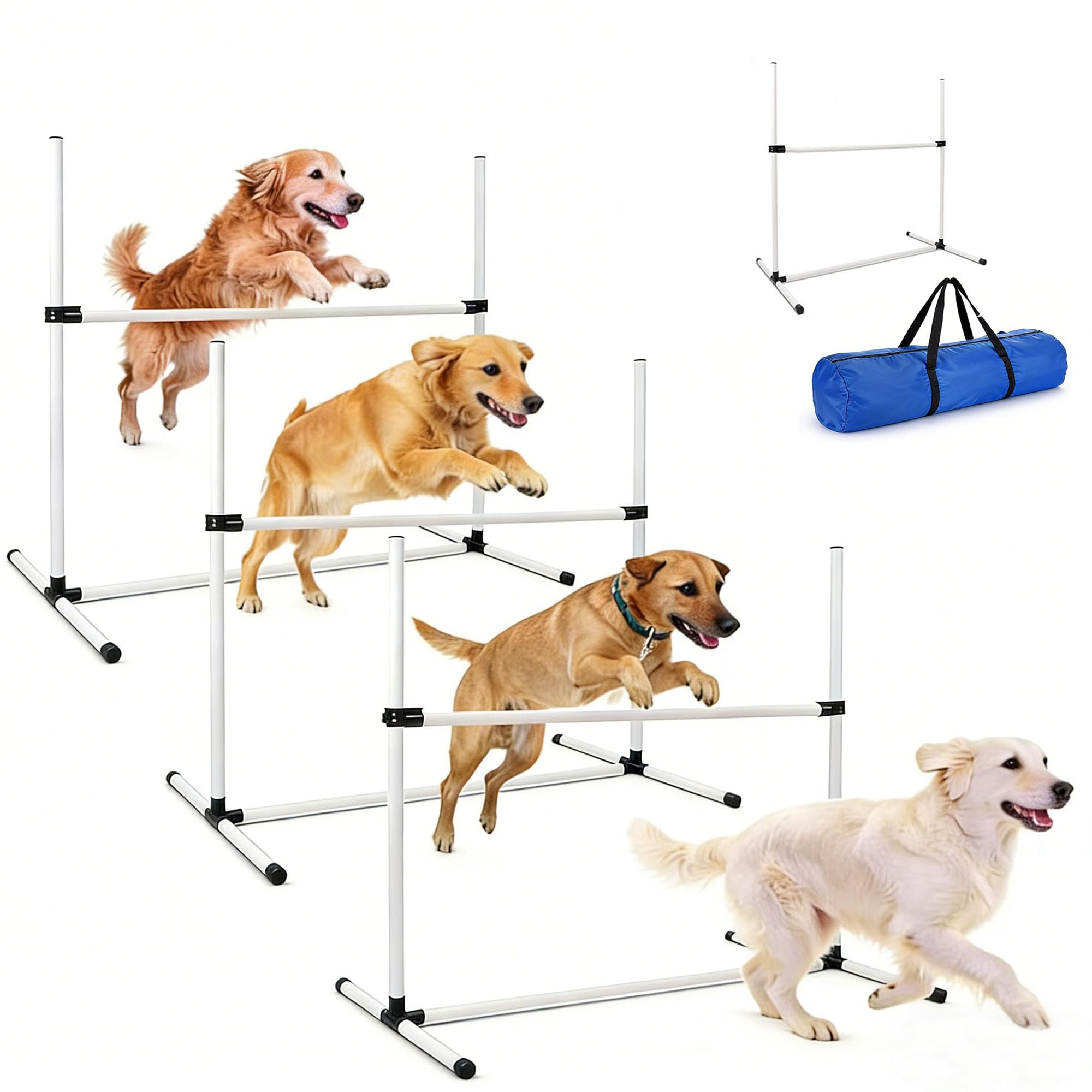 TinyPoint - kit d'entraînement complet pour chien, jeu et coordination.