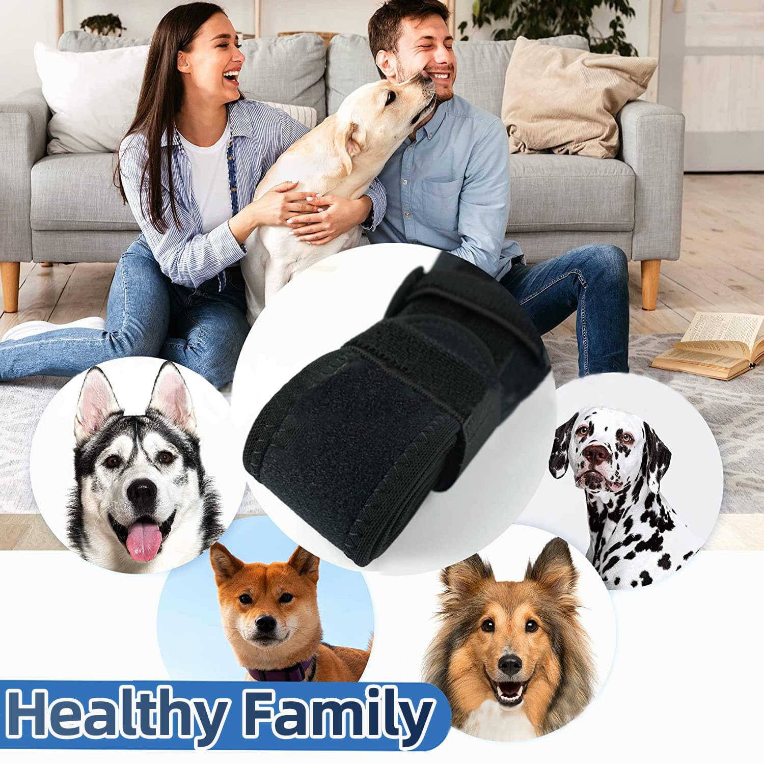 Attelle Tinzum Genou Chien – design anti-rongeurs pour la sécurité.