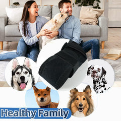Attelle Tinzum Genou Chien – design anti-rongeurs pour la sécurité.