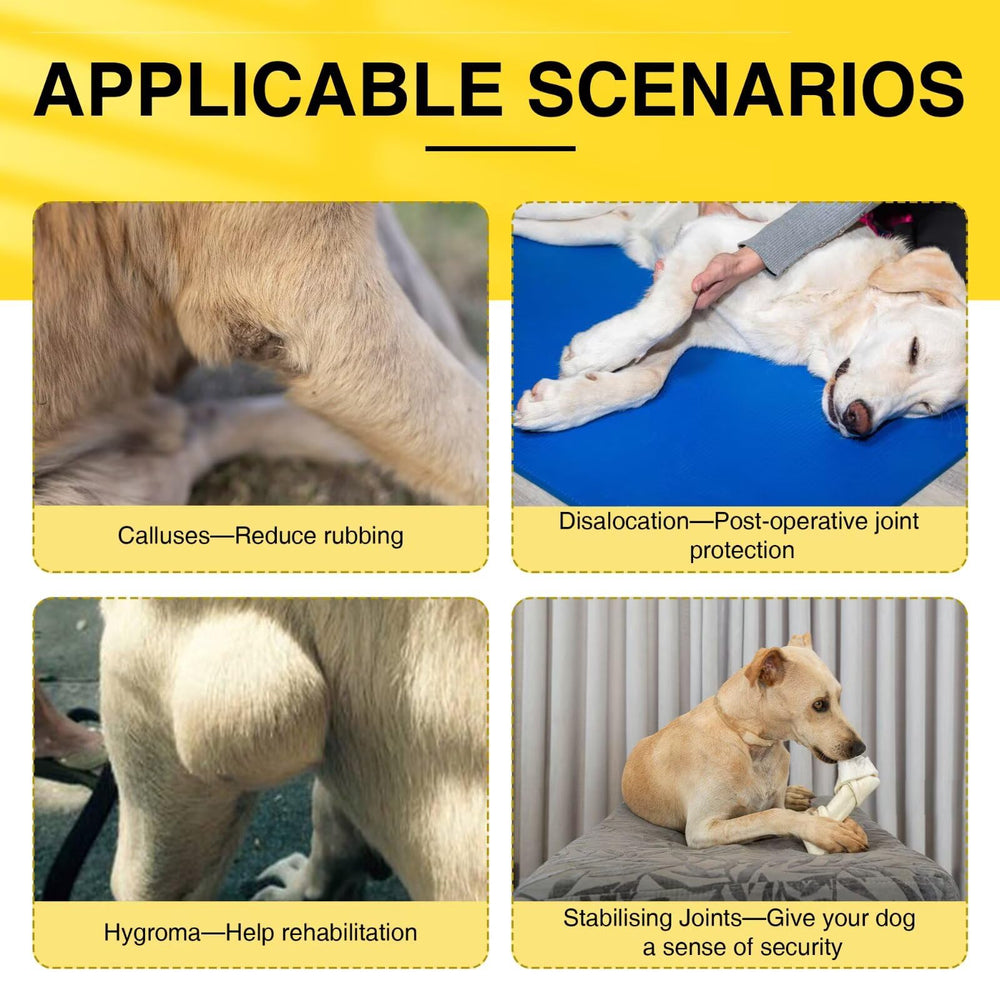 TIPOOP attelle-coude-chien-gauche, bords réfléchissants pour sécurité nocturne