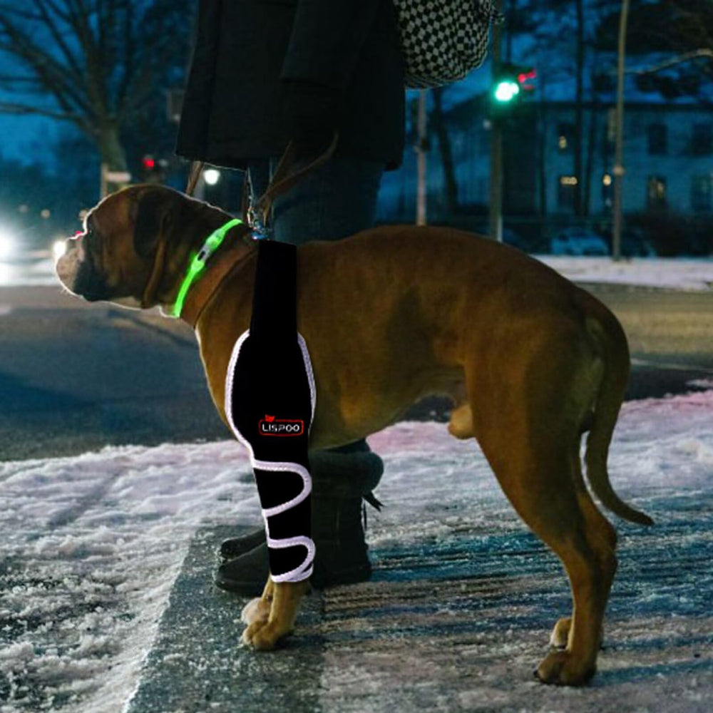TIPOOP attelle coude chien récupération post-op facilitée
