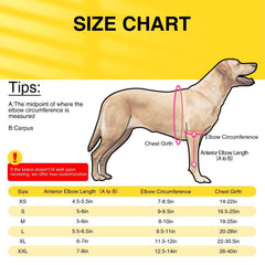 Attelle TIPOOP pour chien XL gauche sur hygroma confort et mobilité ameliores