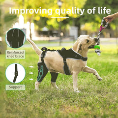 TIPOOP genouillère chien arrière avec pad mousse, confort et stabilité.