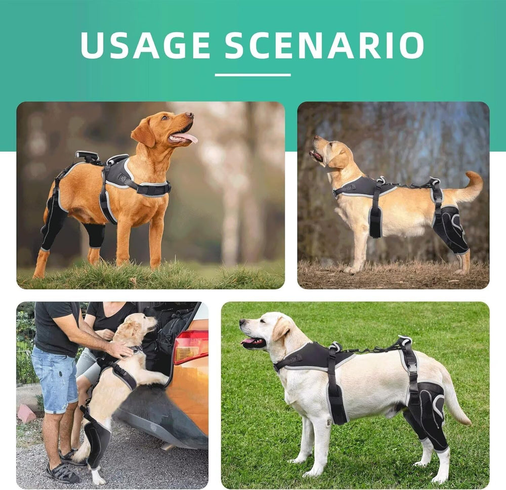 TIPOOP genouillère chien attache velcro reglable, mise en place rapide.