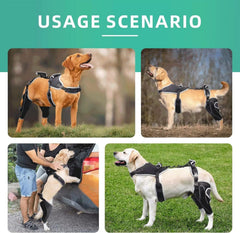 TIPOOP genouillère chien attache velcro reglable, mise en place rapide.