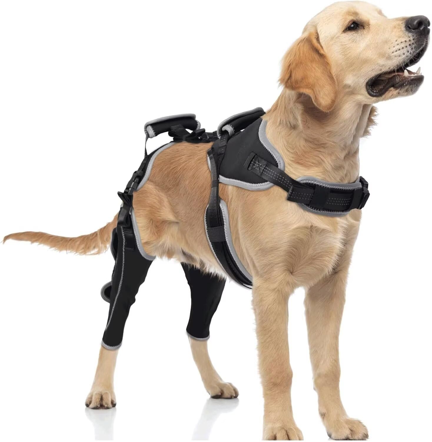 TIPOOP genouillère pour chien, avant avec sangles, soutien sûr lors des promenades.