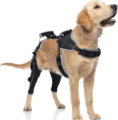 TIPOOP genouillère pour chien, avant avec sangles, soutien sûr lors des promenades.