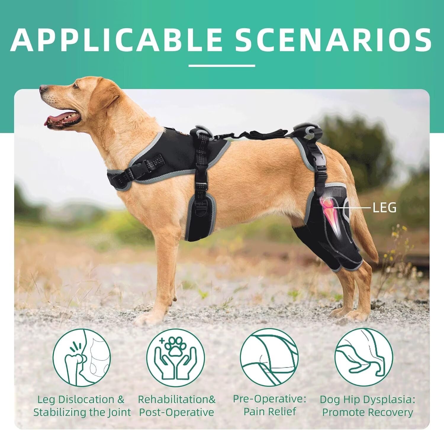 TIPOOP genouillère chien tissu SBR et mesh respirant, respirabilité tout au long de la journée.