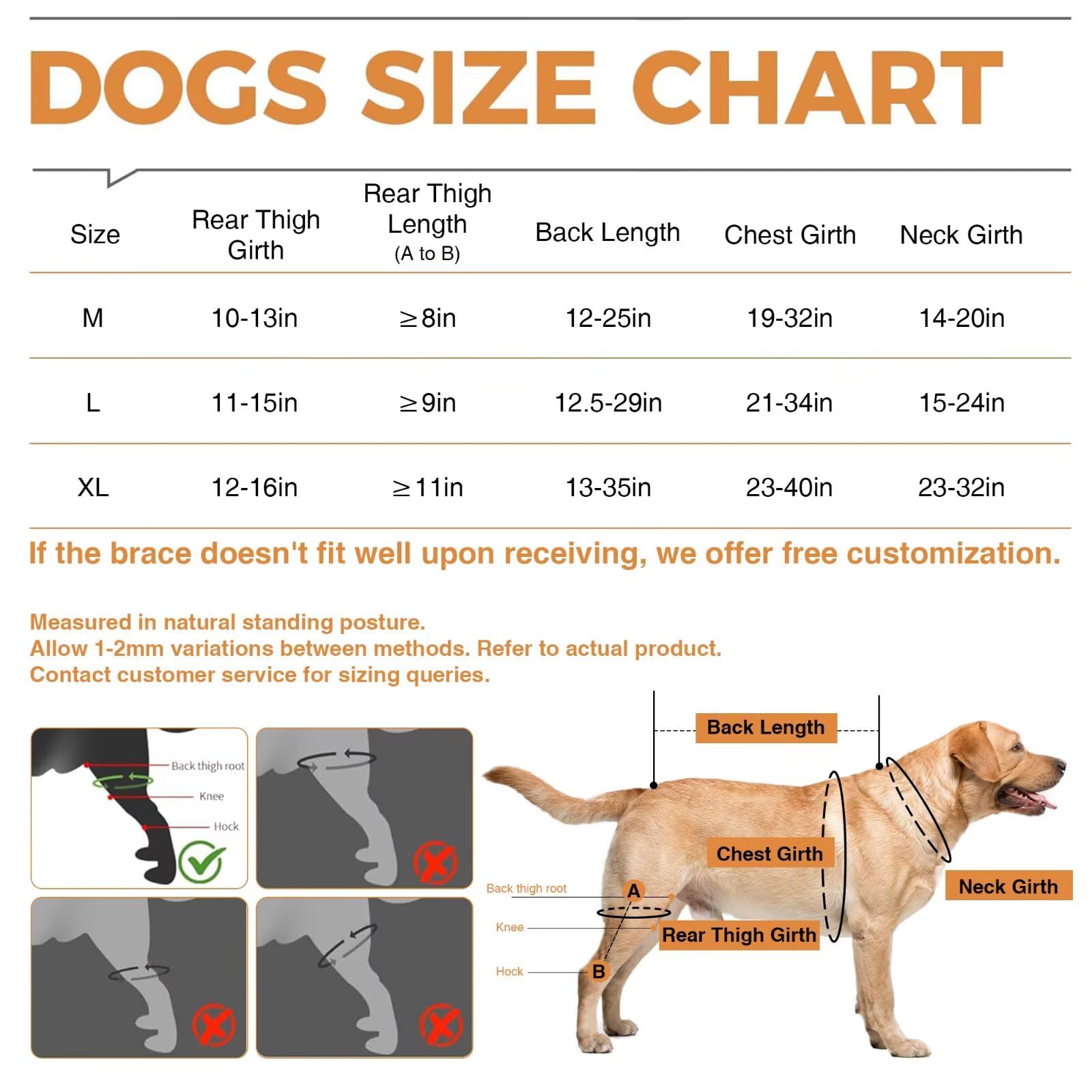TIPOOP genouillère chien usage extérieur, pratique pour sorties quotidiennes.