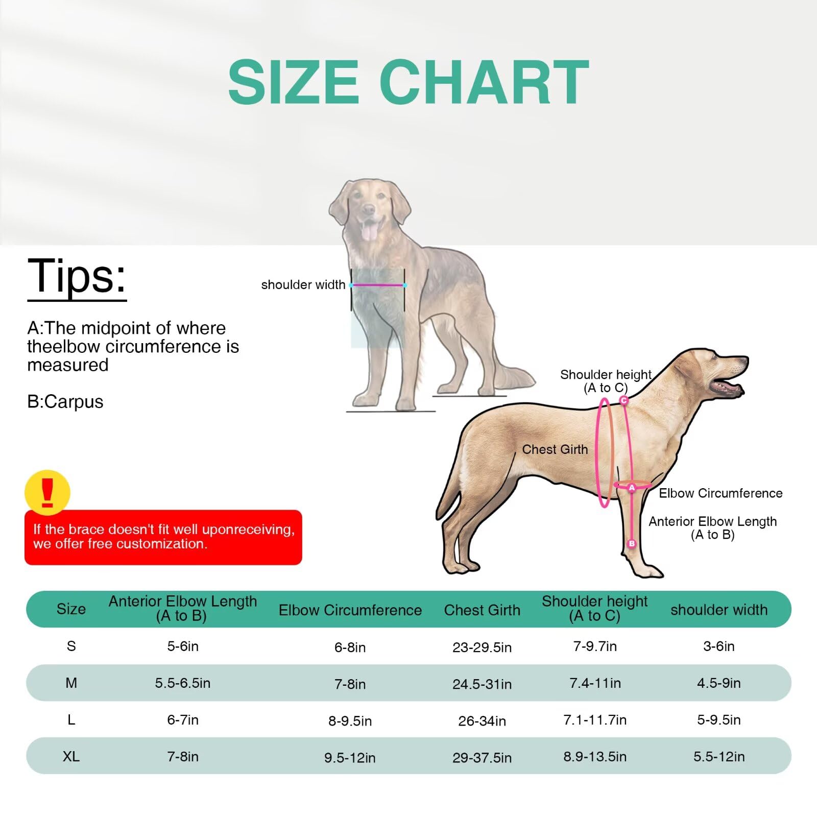 TIPOOP fermeture à bandes agrippantes sur le coude du chien pour montage rapide.