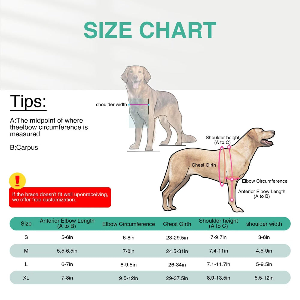 Tipoop orthese-coude-chien-velcro, mise en place rapide et ajustement sûr.
