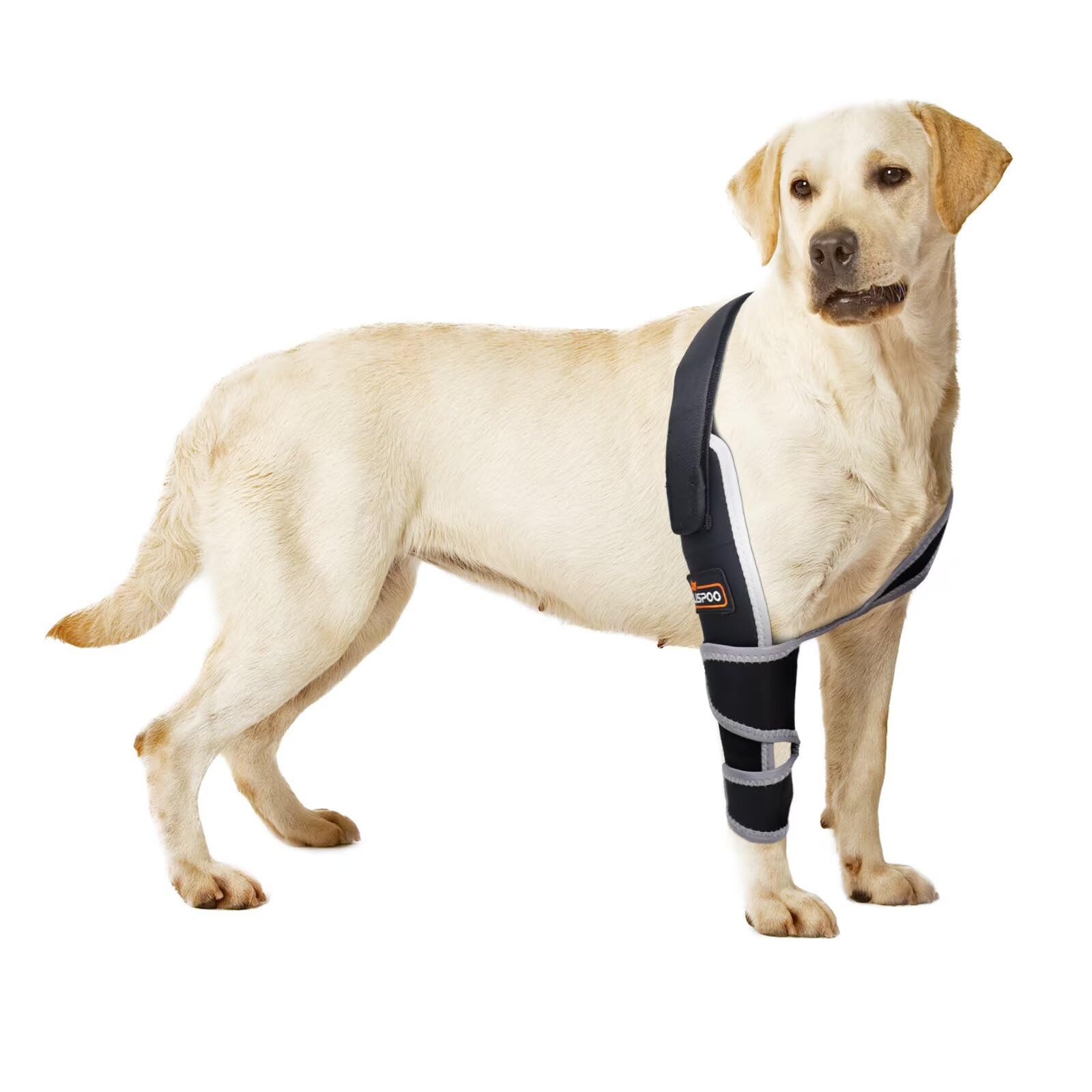 TIPOOP protège-coudes chien montrant le soutien avant pour mobilité améliorée.
