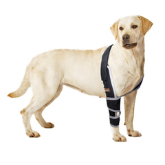 TIPOOP protège le coude du chien – avant gauche, confort renforcé