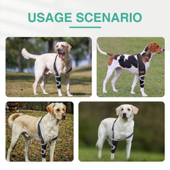 TIPOOP protège-coude chien – rembourrage Double pour confort durable