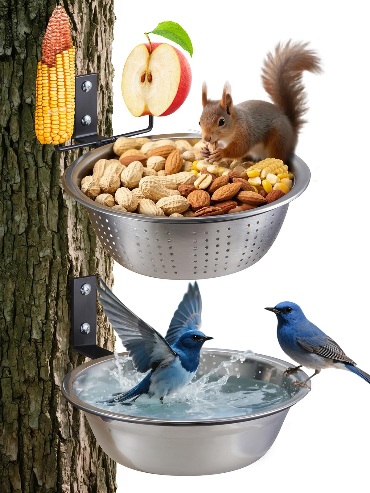 Nourrisseur TKMSV et écureuils/oiseaux, 8,5 pouces, drainage pour aliments frais.
