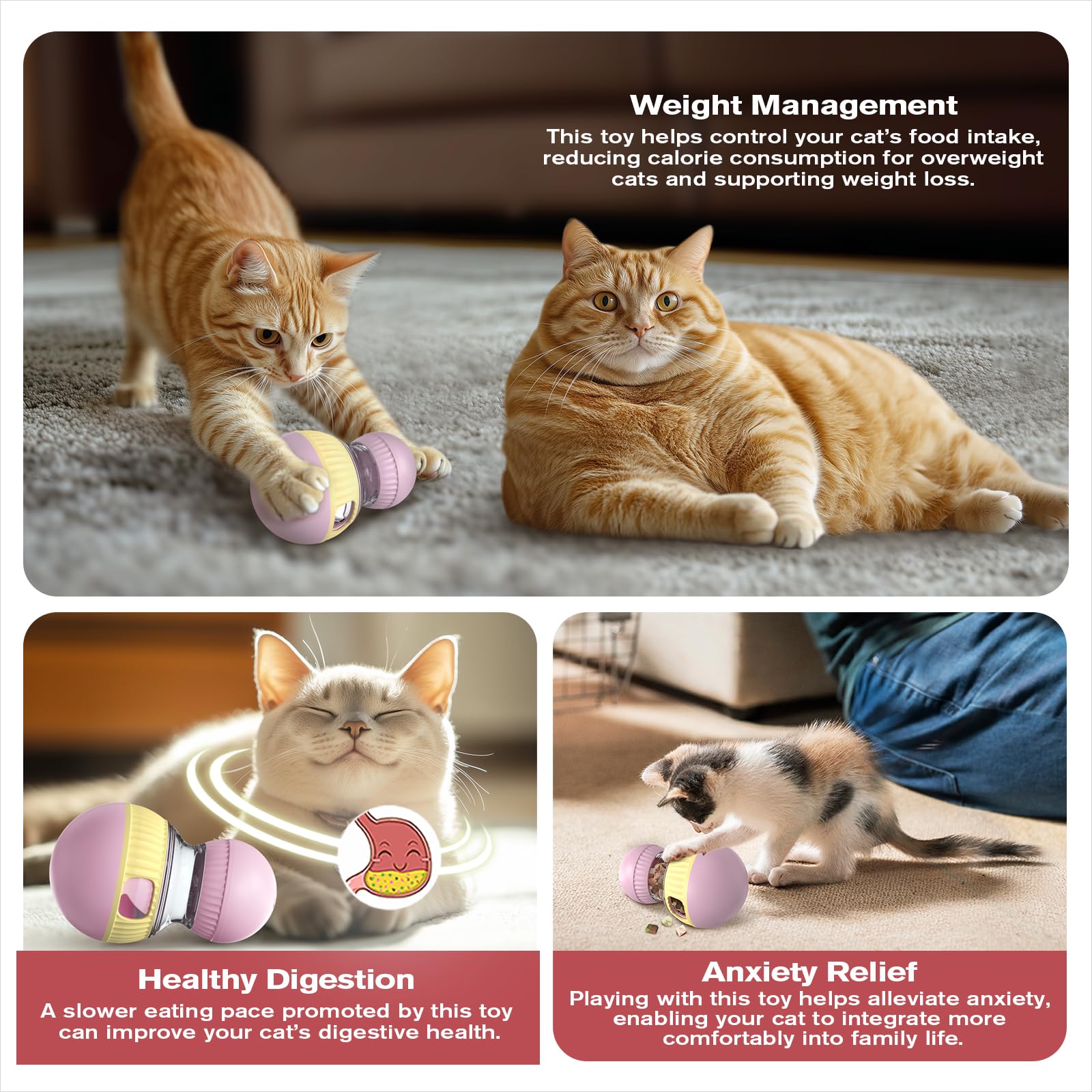 TLKNG Chat: jouet d'enrichissement intérieur pour chats d'intérieur, réduit l'ennui.
