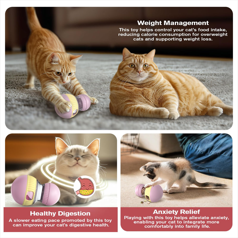 TLKNG Chat: jouet d'enrichissement intérieur pour chats d'intérieur, réduit l'ennui.