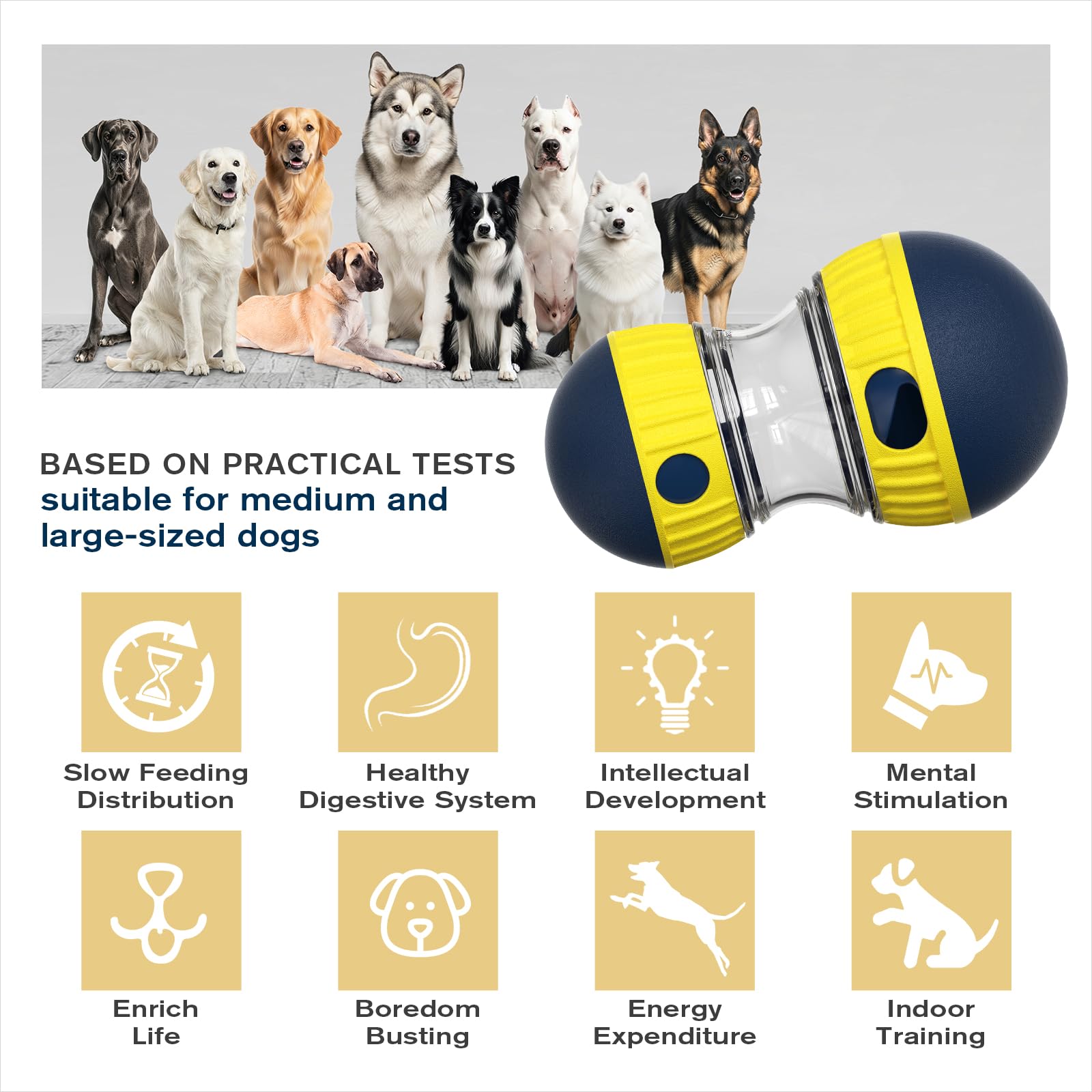 TLKNG jeu-puzzle pour chien grande taille, défi et récompense.