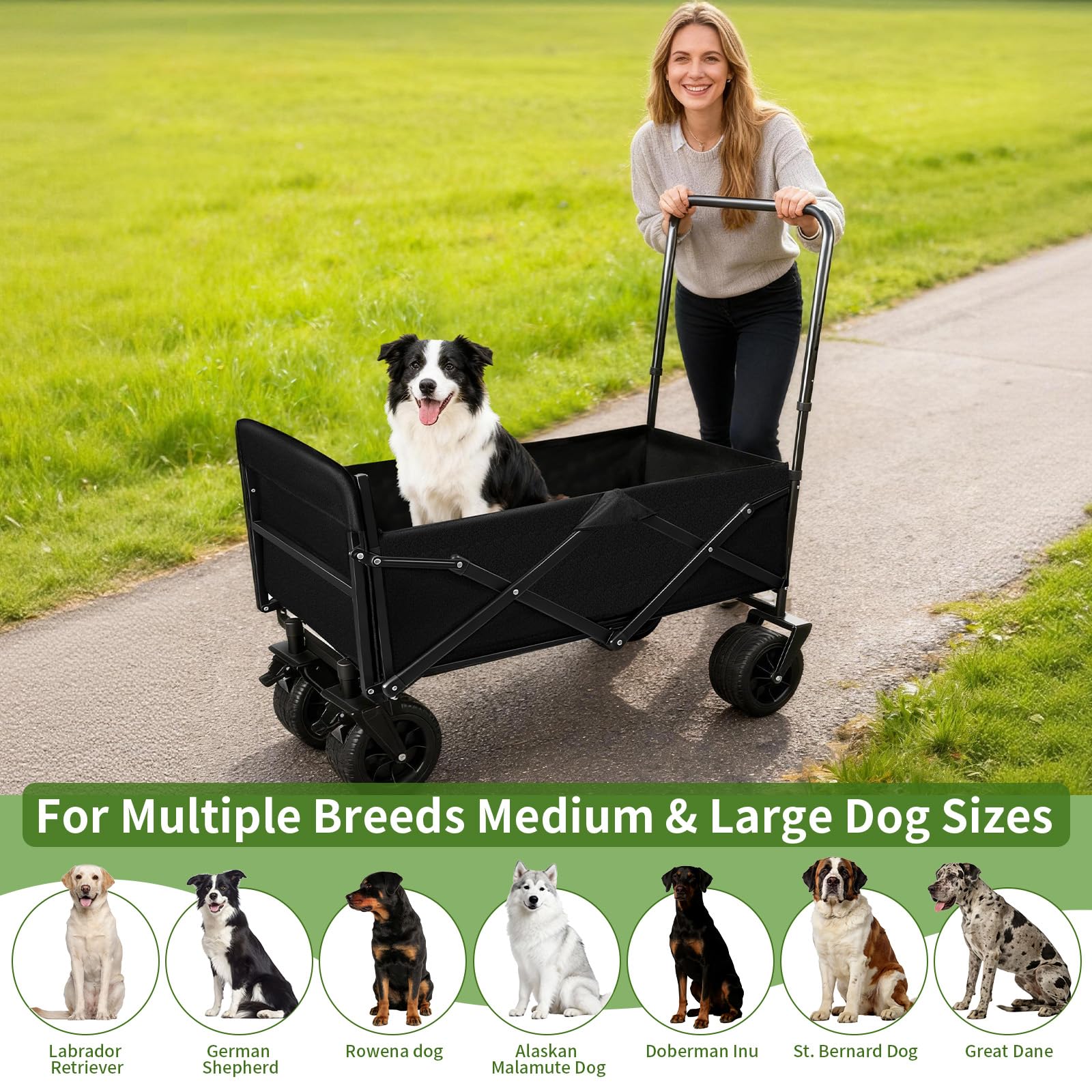 TNELTUEB Poussette-chien-pliage-3-second, rangement rapide
