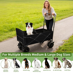 TNELTUEB Poussette-chien-pliage-3-second, rangement rapide