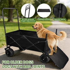 TNELTUEB Poussette-chien-poignee-reglable, traction ergonomique