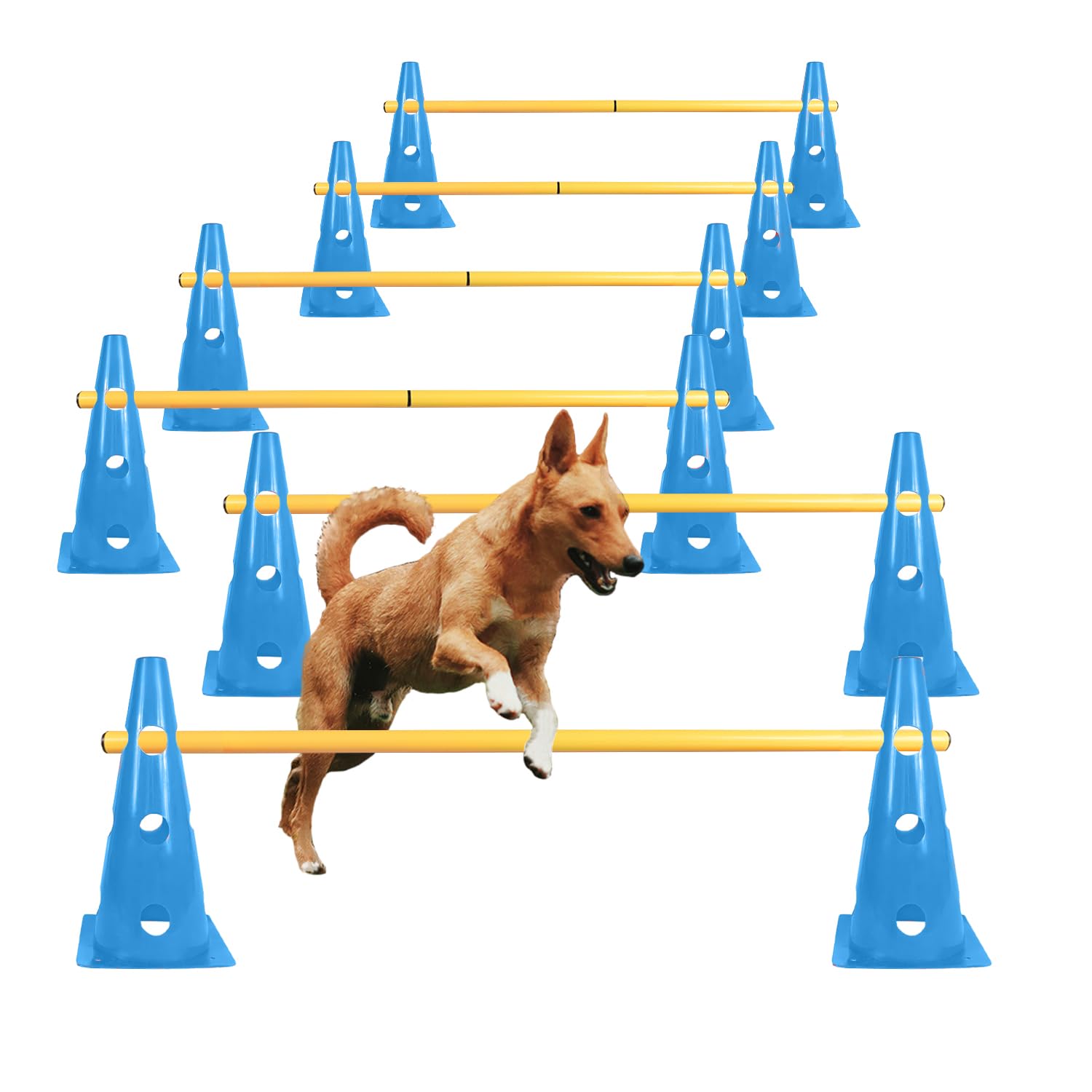 TNZMART cônes et perches d'agilité bleus pour entraînement ludique du chien