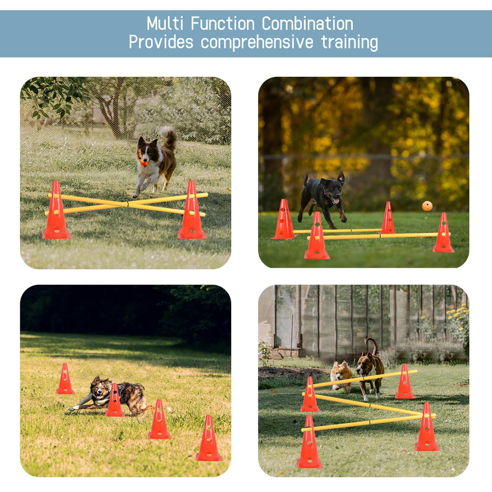 TNZMART entrainement ludique amelioration coordination chien.